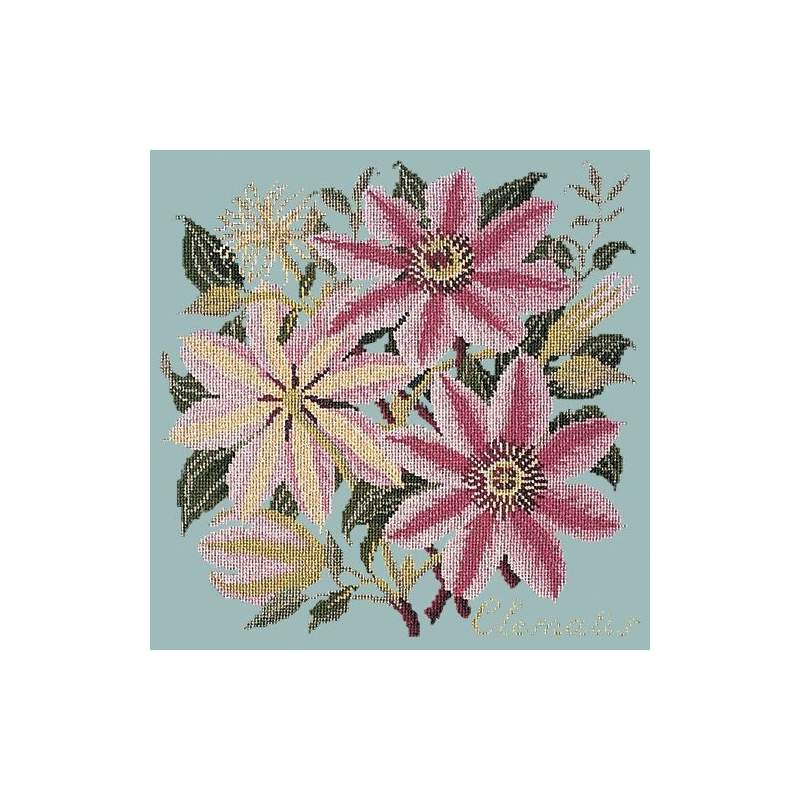 Elizabeth Bradley, Climbing Flower, CLEMATIS - 16x16 pollici Elizabeth Bradley - 14