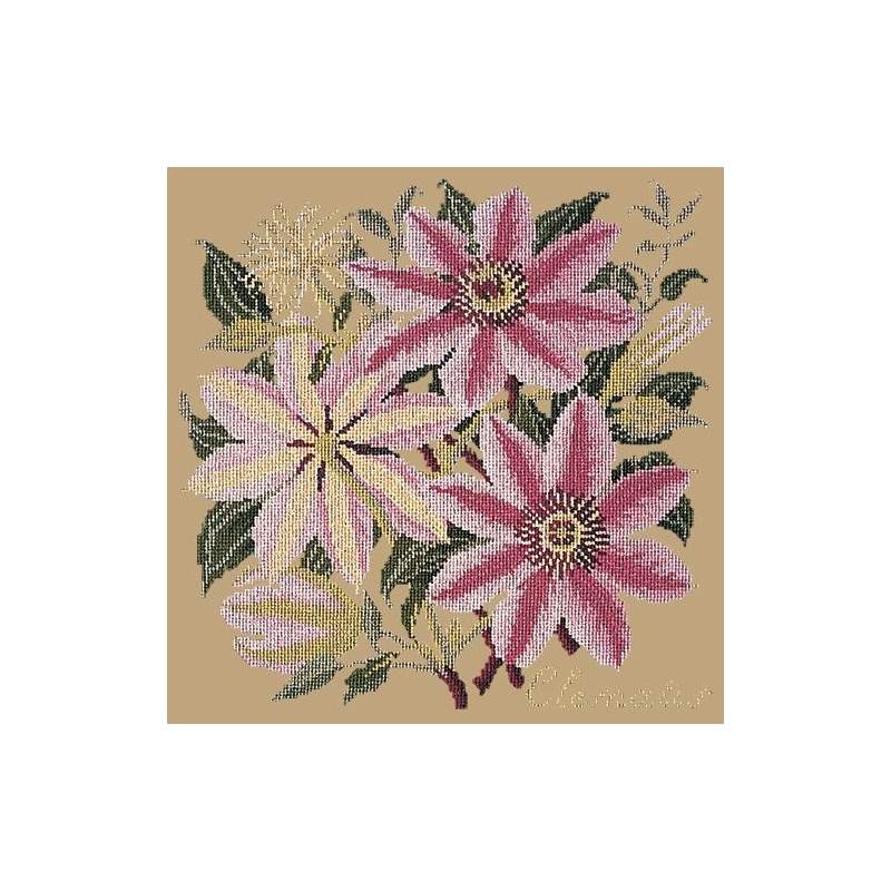 Elizabeth Bradley, Climbing Flower, CLEMATIS - 16x16 pollici Elizabeth Bradley - 17