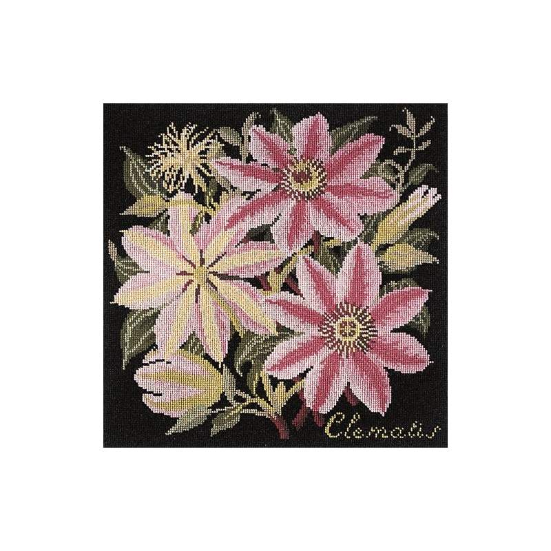 Elizabeth Bradley, Climbing Flower, CLEMATIS - 16x16 pollici Elizabeth Bradley - 18