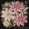 Elizabeth Bradley, Climbing Flower, CLEMATIS - 16x16 pollici Elizabeth Bradley - 18
