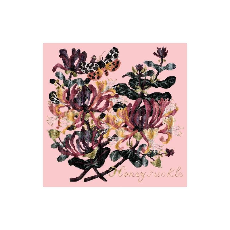 Elizabeth Bradley, Climbing Flower, HONEYSUCKLE - 16x16 pollici Elizabeth Bradley - 2 Elizabeth Bradley, Climbing Flower, HONEYSUCKLE - 16x16 pollici Elizabeth Bradley - 2