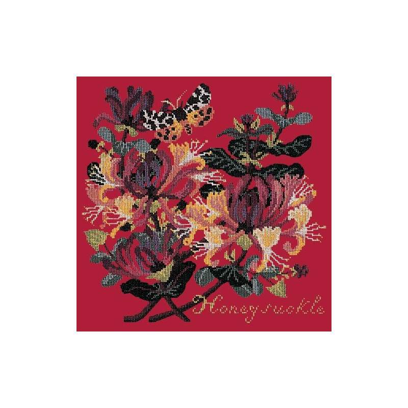 Elizabeth Bradley, Climbing Flower, HONEYSUCKLE - 16x16 pollici Elizabeth Bradley - 4