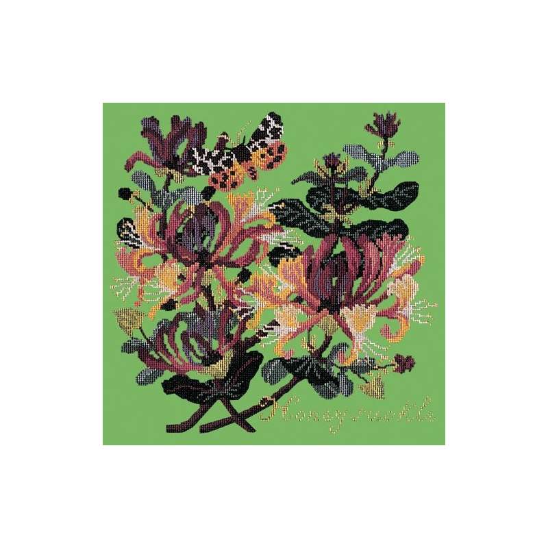 Elizabeth Bradley, Climbing Flower, HONEYSUCKLE - 16x16 pollici Elizabeth Bradley - 7