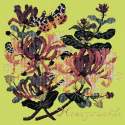 Elizabeth Bradley, Climbing Flower, HONEYSUCKLE - 16x16 pollici Elizabeth Bradley - 8