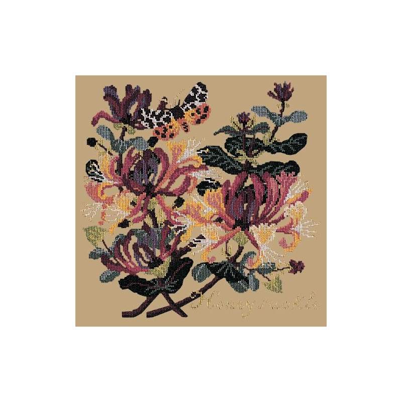 Elizabeth Bradley, Climbing Flower, HONEYSUCKLE - 16x16 pollici Elizabeth Bradley - 17