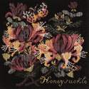 Elizabeth Bradley, Climbing Flower, HONEYSUCKLE - 16x16 pollici Elizabeth Bradley - 18