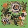 Elizabeth Bradley, Climbing Flower, PASSION FLOWER - 16x16 pollici Elizabeth Bradley - 7