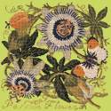 Elizabeth Bradley, Climbing Flower, PASSION FLOWER - 16x16 pollici Elizabeth Bradley - 8