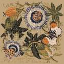 Elizabeth Bradley, Climbing Flower, PASSION FLOWER - 16x16 pollici Elizabeth Bradley - 17