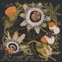 Elizabeth Bradley, Climbing Flower, PASSION FLOWER - 16x16 pollici Elizabeth Bradley - 18