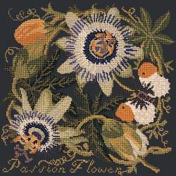 Elizabeth Bradley, Climbing Flower, PASSION FLOWER - 16x16 pollici Elizabeth Bradley - 18