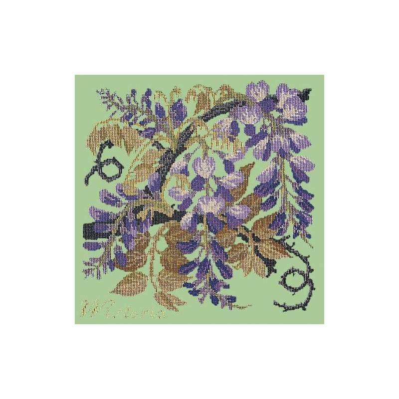 Elizabeth Bradley, Climbing Flower, WISTERIA - 16x16 pollici Elizabeth Bradley - 10