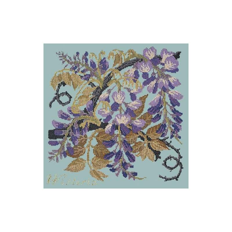 Elizabeth Bradley, Climbing Flower, WISTERIA - 16x16 pollici Elizabeth Bradley - 15
