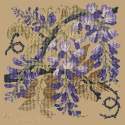 Elizabeth Bradley, Climbing Flower, WISTERIA - 16x16 pollici Elizabeth Bradley - 18