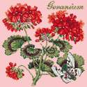 Elizabeth Bradley, Cottage Garden, GERANIUM - 16x16 pollici Elizabeth Bradley - 2