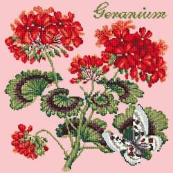 Elizabeth Bradley, Cottage Garden, GERANIUM - 16x16 pollici Elizabeth Bradley - 2