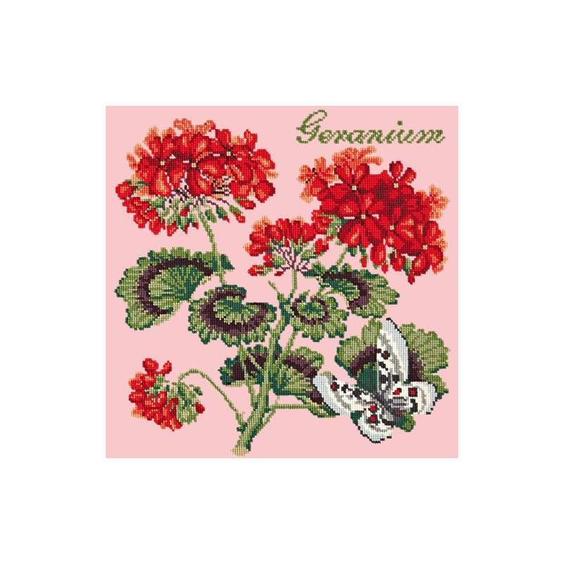 Elizabeth Bradley, Cottage Garden, GERANIUM - 16x16 pollici Elizabeth Bradley - 2