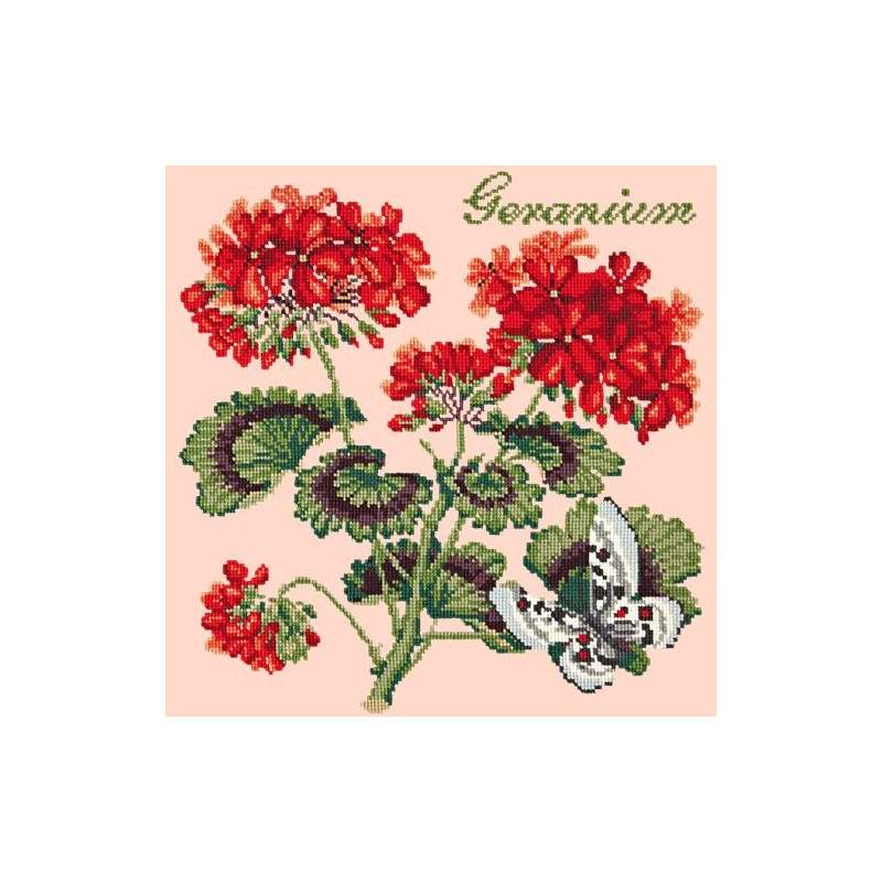 Elizabeth Bradley, Cottage Garden, GERANIUM - 16x16 pollici Elizabeth Bradley - 3