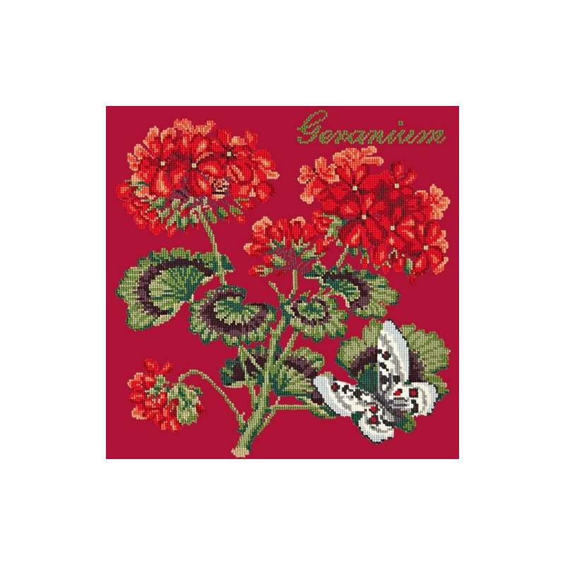 Elizabeth Bradley, Cottage Garden, GERANIUM - 16x16 pollici Elizabeth Bradley - 4