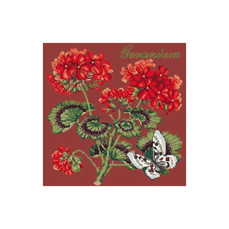 Elizabeth Bradley, Cottage Garden, GERANIUM - 16x16 pollici Elizabeth Bradley - 5