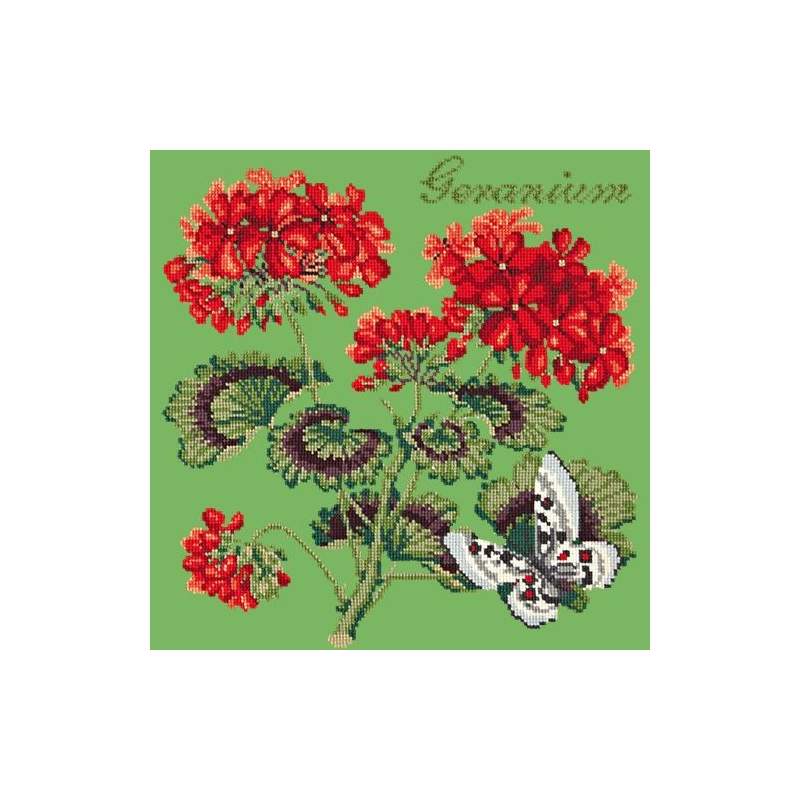 Elizabeth Bradley, Cottage Garden, GERANIUM - 16x16 pollici Elizabeth Bradley - 7