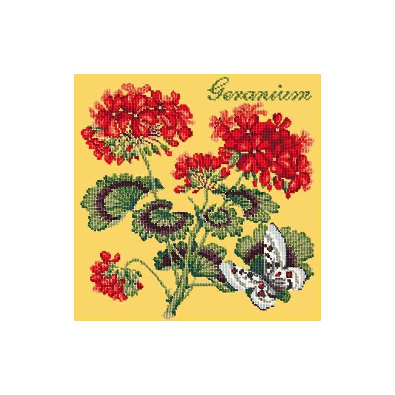 Elizabeth Bradley, Cottage Garden, GERANIUM - 16x16 pollici Elizabeth Bradley - 11
