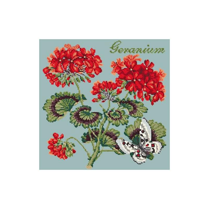 Elizabeth Bradley, Cottage Garden, GERANIUM - 16x16 pollici Elizabeth Bradley - 14