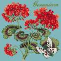 Elizabeth Bradley, Cottage Garden, GERANIUM - 16x16 pollici Elizabeth Bradley - 15