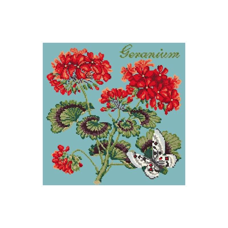 Elizabeth Bradley, Cottage Garden, GERANIUM - 16x16 pollici Elizabeth Bradley - 15