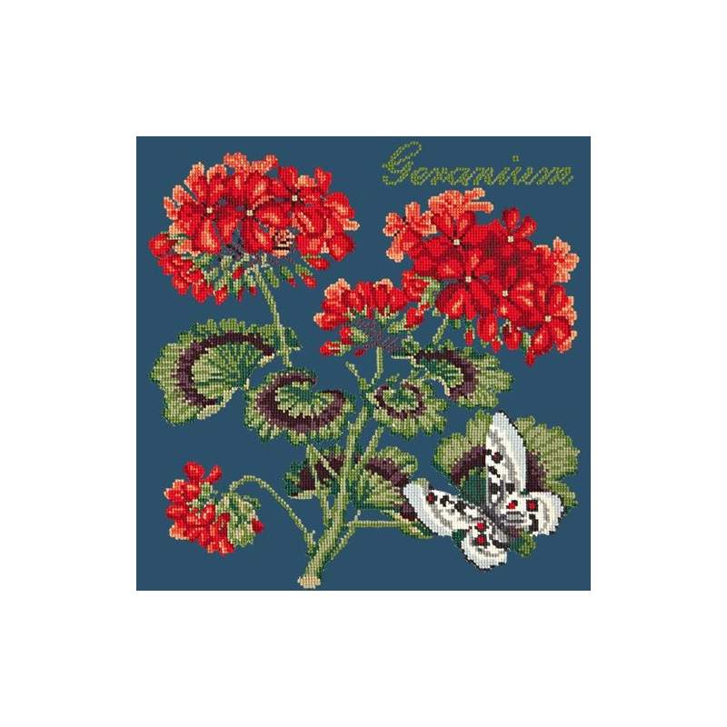Elizabeth Bradley, Cottage Garden, GERANIUM - 16x16 pollici Elizabeth Bradley - 16