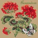 Elizabeth Bradley, Cottage Garden, GERANIUM - 16x16 pollici Elizabeth Bradley - 17