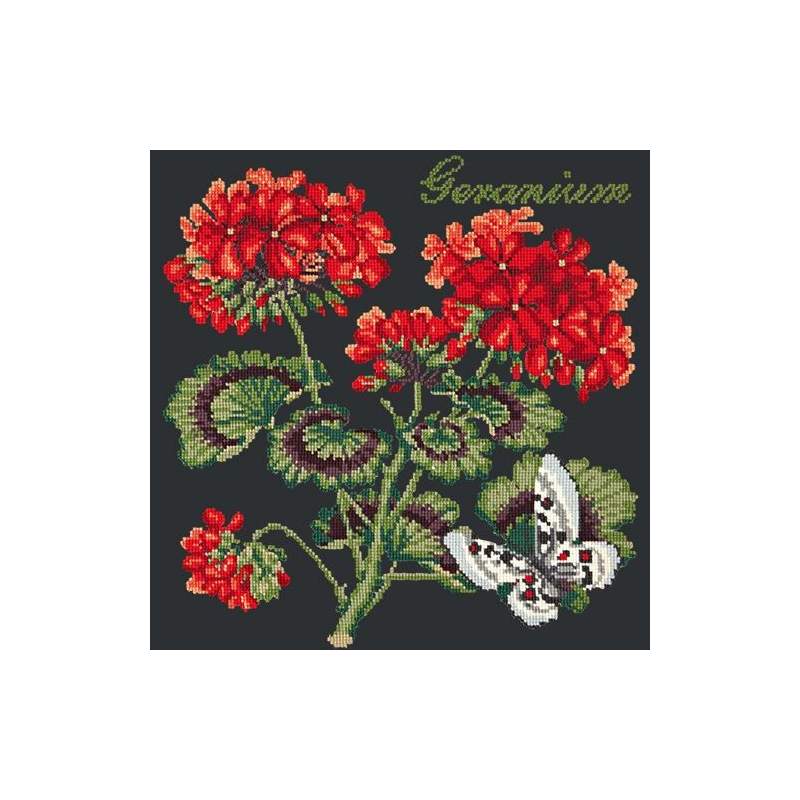 Elizabeth Bradley, Cottage Garden, GERANIUM - 16x16 pollici Elizabeth Bradley - 18