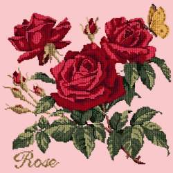 Elizabeth Bradley, Cottage Garden, ROSE - 16x16 pollici Elizabeth Bradley - 2