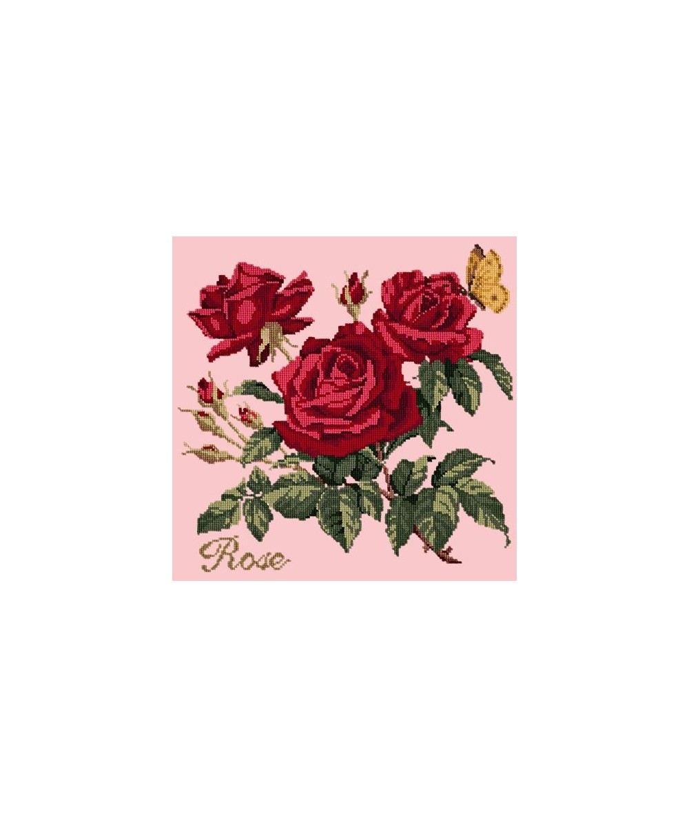 Elizabeth Bradley, Cottage Garden, ROSE - 16x16 pollici Elizabeth Bradley - 2 Elizabeth Bradley, Cottage Garden, ROSE - 16x16 pollici Elizabeth Bradley - 2