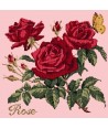 Elizabeth Bradley, Cottage Garden, ROSE - 16x16 pollici Elizabeth Bradley - 2
