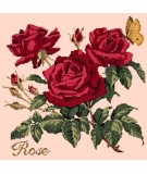 Elizabeth Bradley, Cottage Garden, ROSE - 16x16 pollici Elizabeth Bradley - 3