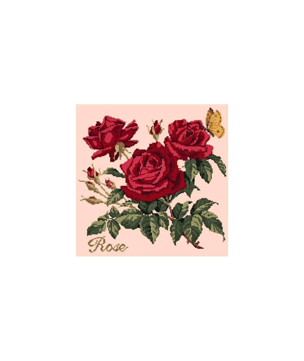 Elizabeth Bradley, Cottage Garden, ROSE - 16x16 pollici Elizabeth Bradley - 3