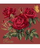 Elizabeth Bradley, Cottage Garden, ROSE - 16x16 pollici Elizabeth Bradley - 5