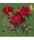 Elizabeth Bradley, Cottage Garden, ROSE - 16x16 pollici Elizabeth Bradley - 6