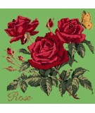 Elizabeth Bradley, Cottage Garden, ROSE - 16x16 pollici Elizabeth Bradley - 7