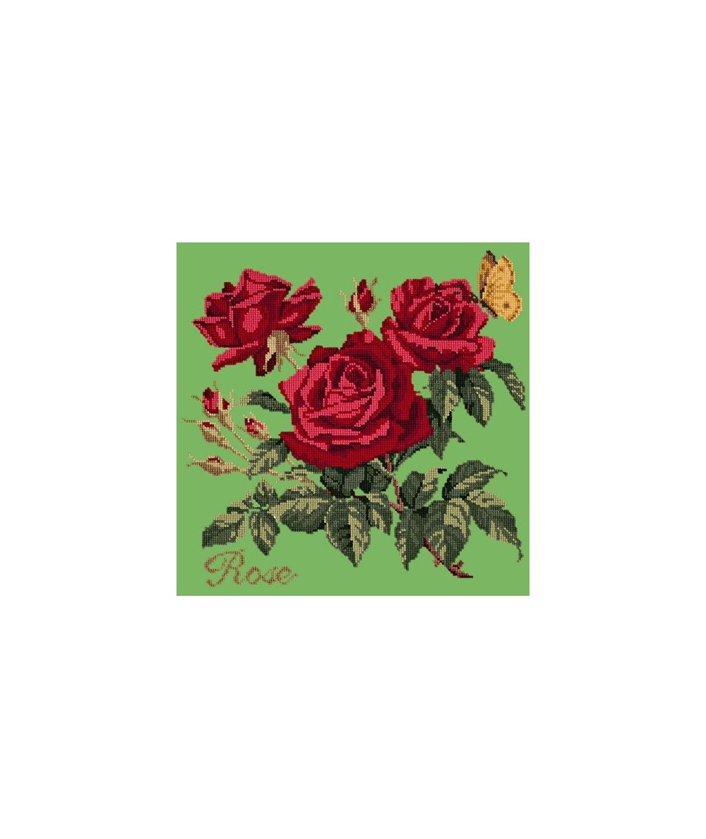 Elizabeth Bradley, Cottage Garden, ROSE - 16x16 pollici Elizabeth Bradley - 7