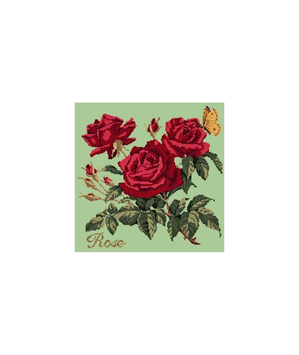 Elizabeth Bradley, Cottage Garden, ROSE - 16x16 pollici Elizabeth Bradley - 9