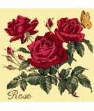 Elizabeth Bradley, Cottage Garden, ROSE - 16x16 pollici Elizabeth Bradley - 10
