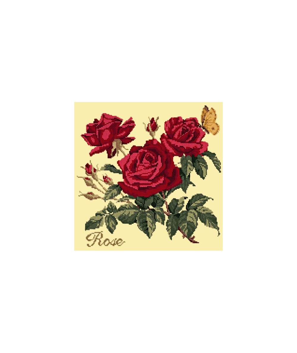 Elizabeth Bradley, Cottage Garden, ROSE - 16x16 pollici Elizabeth Bradley - 10