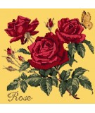 Elizabeth Bradley, Cottage Garden, ROSE - 16x16 pollici Elizabeth Bradley - 11