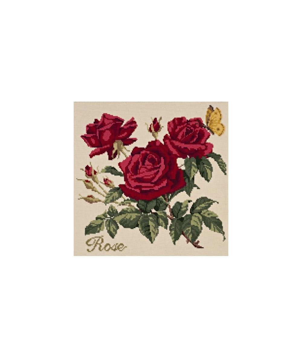 Elizabeth Bradley, Cottage Garden, ROSE - 16x16 pollici Elizabeth Bradley - 12