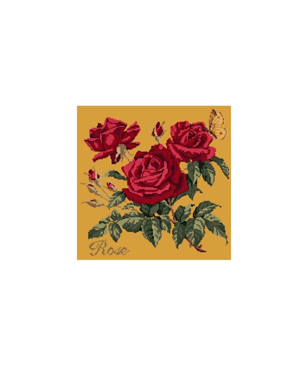 Elizabeth Bradley, Cottage Garden, ROSE - 16x16 pollici Elizabeth Bradley - 13