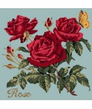 Elizabeth Bradley, Cottage Garden, ROSE - 16x16 pollici Elizabeth Bradley - 14