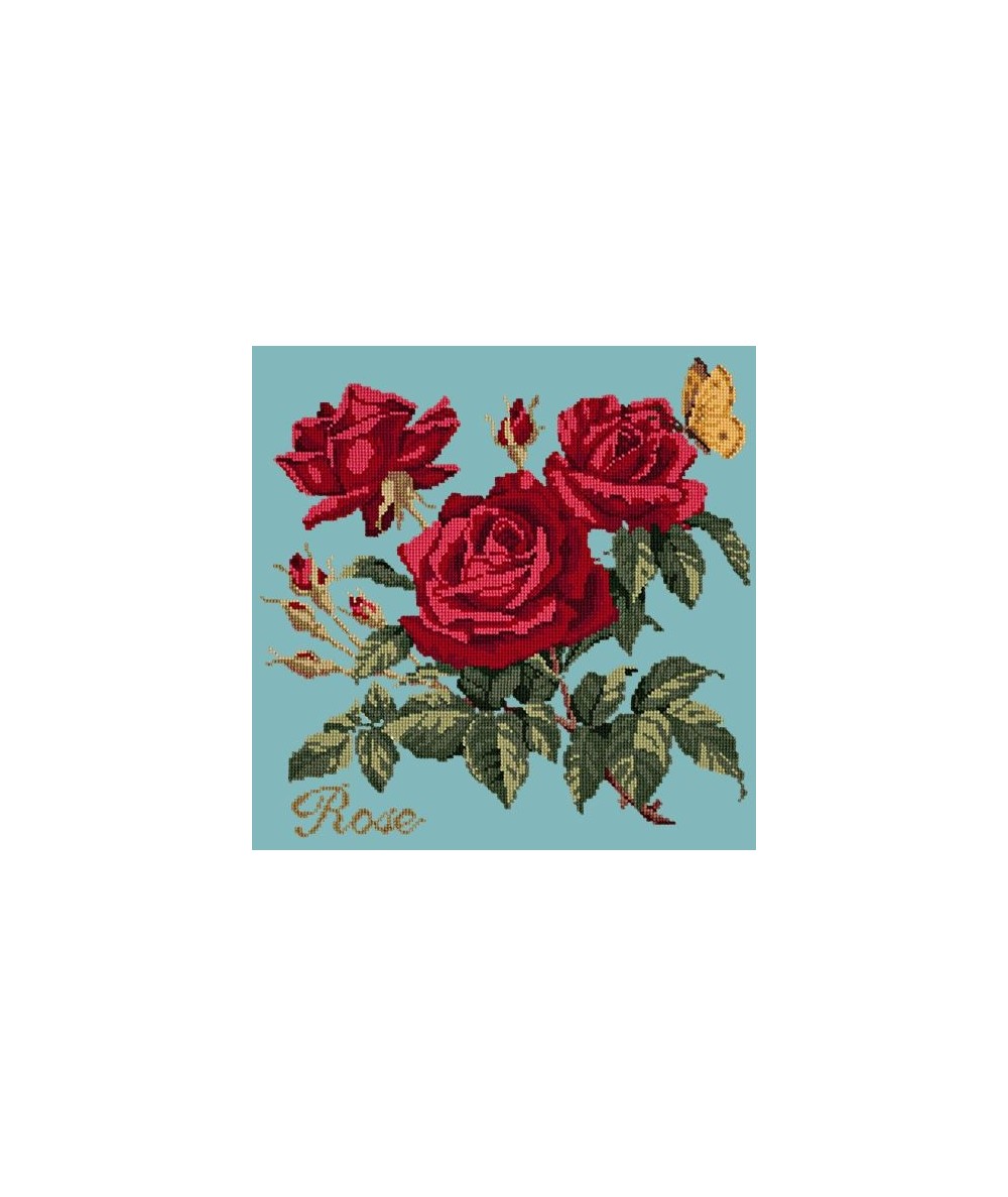 Elizabeth Bradley, Cottage Garden, ROSE - 16x16 pollici Elizabeth Bradley - 15