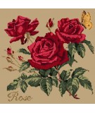 Elizabeth Bradley, Cottage Garden, ROSE - 16x16 pollici Elizabeth Bradley - 17